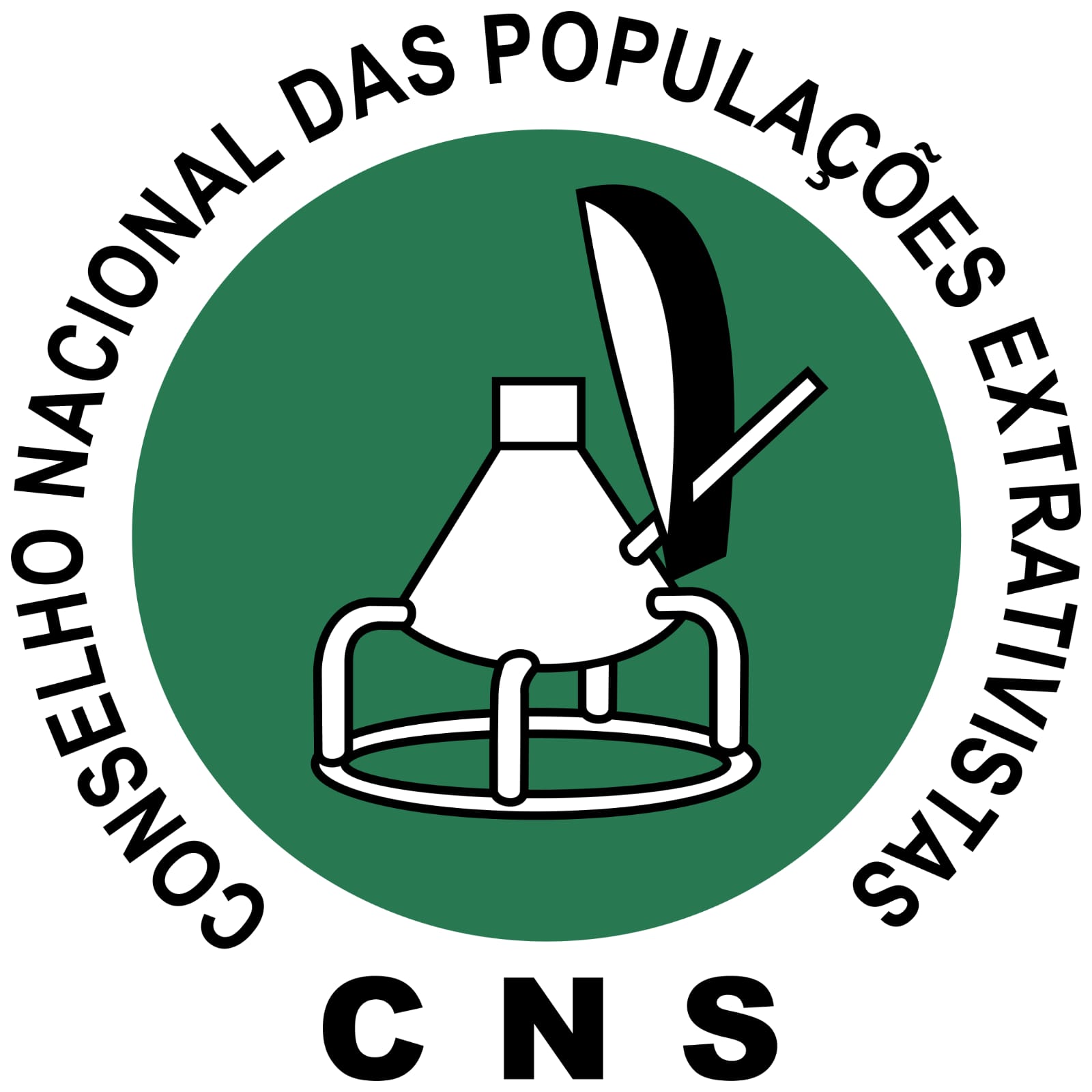 Logo CNS